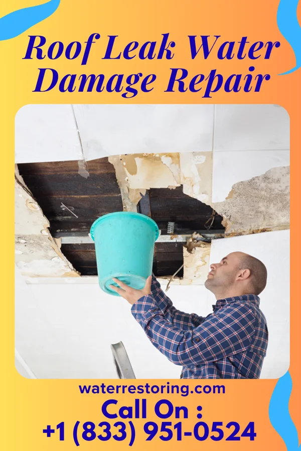 Roof Leak Water Damage Repair in Toluca, IL