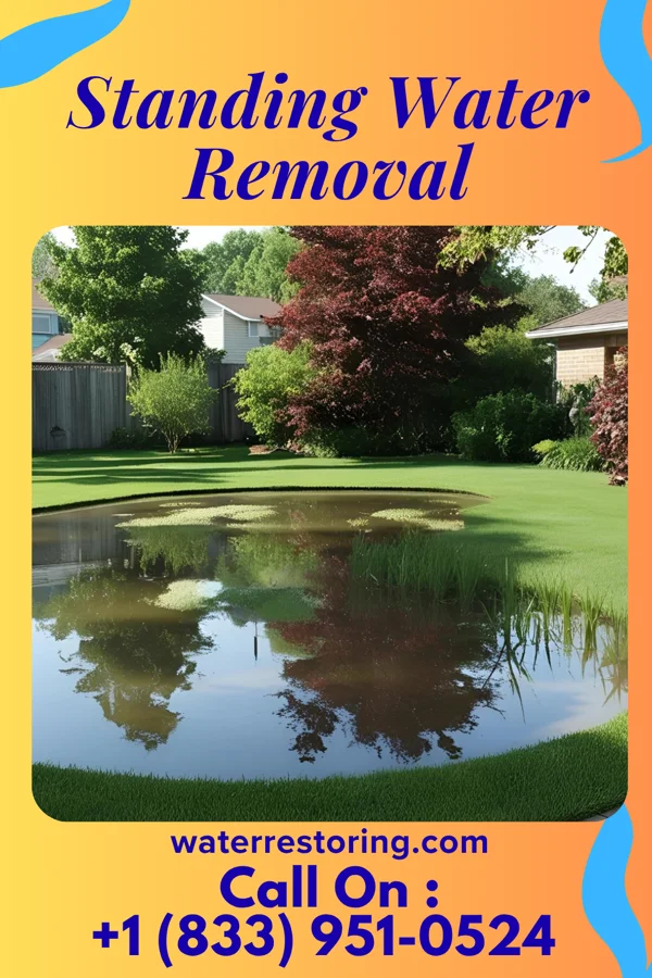 Standing Water Removal in Toluca, IL